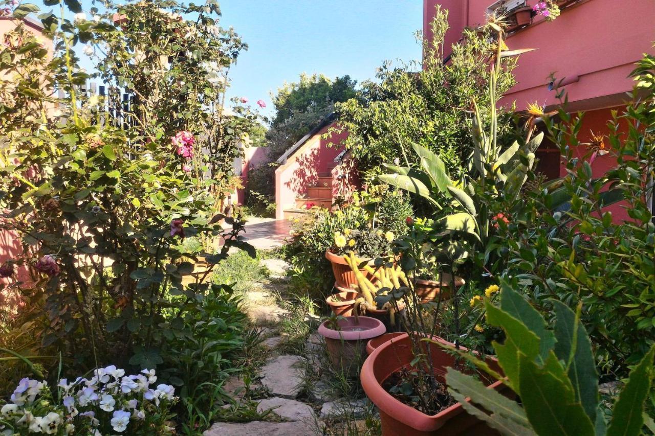 Corona Bed & Breakfast Sardara Exterior photo
